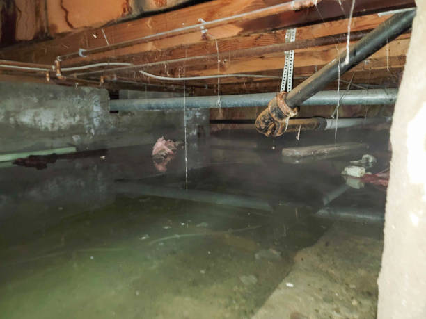 Best Water damage contractors near me  in Eagle Lake, TX