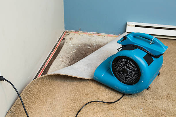 Best Water damage cleanup near me  in Eagle Lake, TX